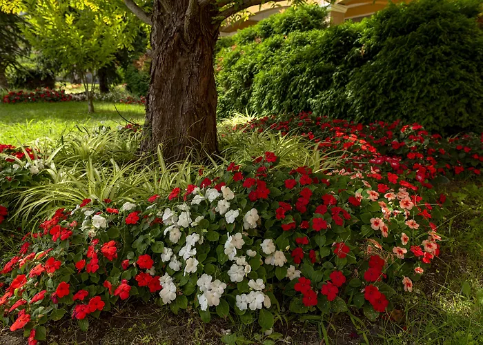 Menada Grand Appartamento Aheloy